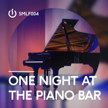 One Night At The Piano Bar