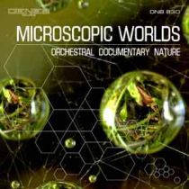 Microscopic Worlds