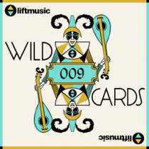 Liftmusic Wildcards 9