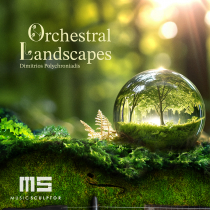 Orchestral Landscapes
