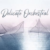 Delicate Orchestral