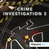 Crime Investigation 3