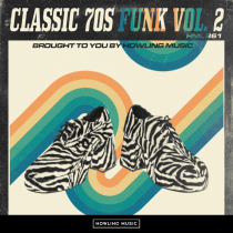 Authentic Funk Vol 2