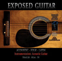 Exposed Guitar (Acoustic-Folk-Latin)