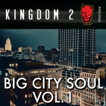 Big City Soul Vol 1