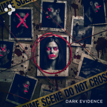 Dark Evidence
