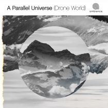 Drone Worlds A Parallel Universe