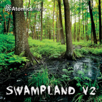 Swampland 2