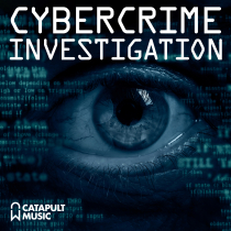 Cybercrime Investigation