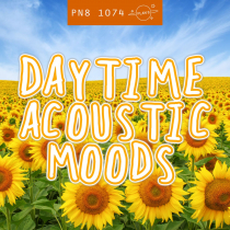 Daytime Acoustic Moods