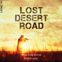 Lost Desert Road