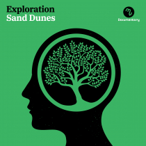 Exploration Sand Dunes