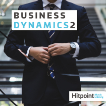 Business Dynamics 2