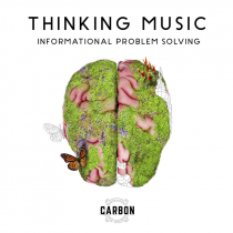 Thinking Music, Informational Problem Solving CARBON