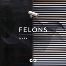 Dark: Felons