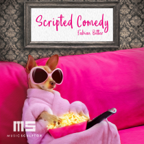 Scripted Comedy