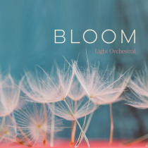 Bloom, Light Orchestral