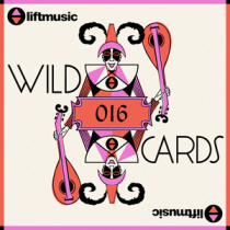 Liftmusic Wildcards 16