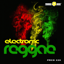 Electronic Reggae