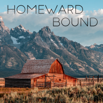 Homeward Bound