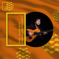 Artists - Yago Santos - Guitar Flamenco 2