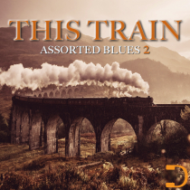 This Train 2 - Assorted Blues