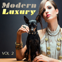 Modern Luxury Vol 2