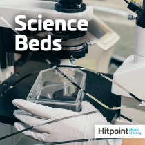 Science Beds