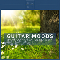 Guitar Moods Vol 1