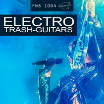 Electro Trash-Guitars