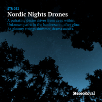 Nordic Nights Drones