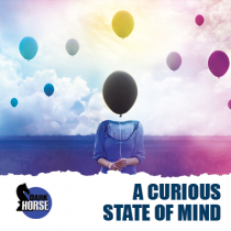 A Curious State Of Mind
