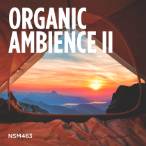 Organic Ambience II