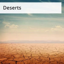 Deserts