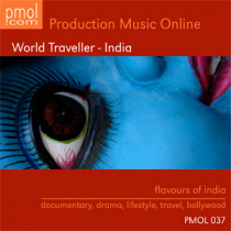 World Traveller - India