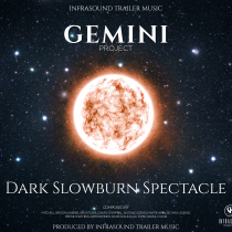 Gemini Project