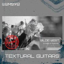 TEXTURAL GUITARS