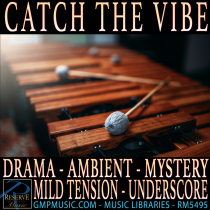Catch The Vibe (Drama - Ambient - Crime - Mystery - Mild Tension - Underscore)
