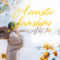 Acoustic Sunshine vol 3