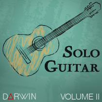 Solo Guitar Volume 2