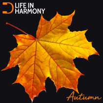 Life In Harmony, Autumn