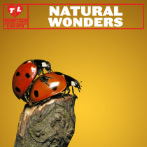 Natural Wonders