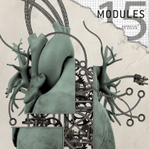 Modules 15