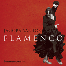 Jagoba Santos - Flamenco