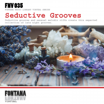 Seductive Grooves