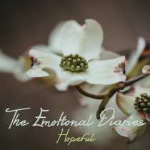 The Emotional Diaries, Hopeful