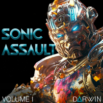 Sonic Assault Volume 1