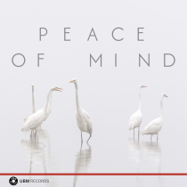 Peace Of Mind