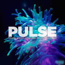 Pulse