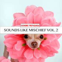 Sounds Like Mischief Vol 2